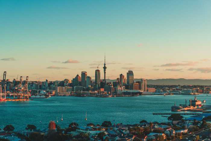 Head of Data Science